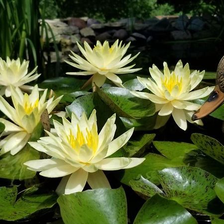 Marquette Trickling Waters Retreat 빌라 외부 사진