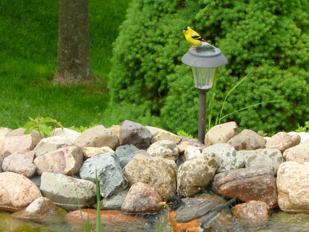 Marquette Trickling Waters Retreat 빌라 외부 사진