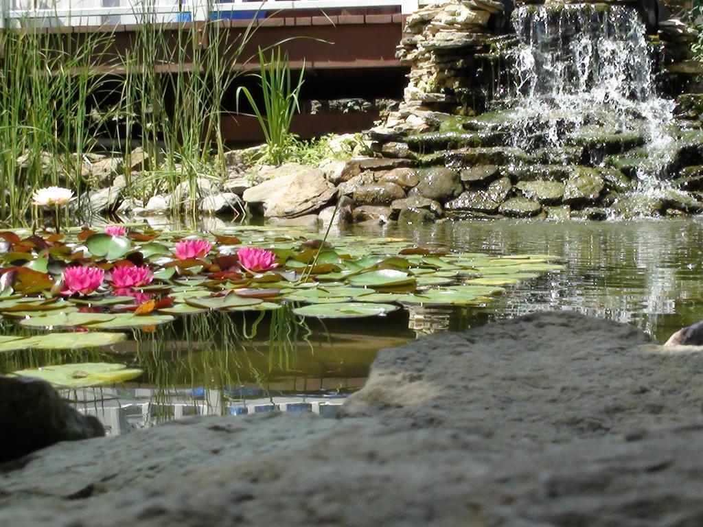 Marquette Trickling Waters Retreat 빌라 외부 사진