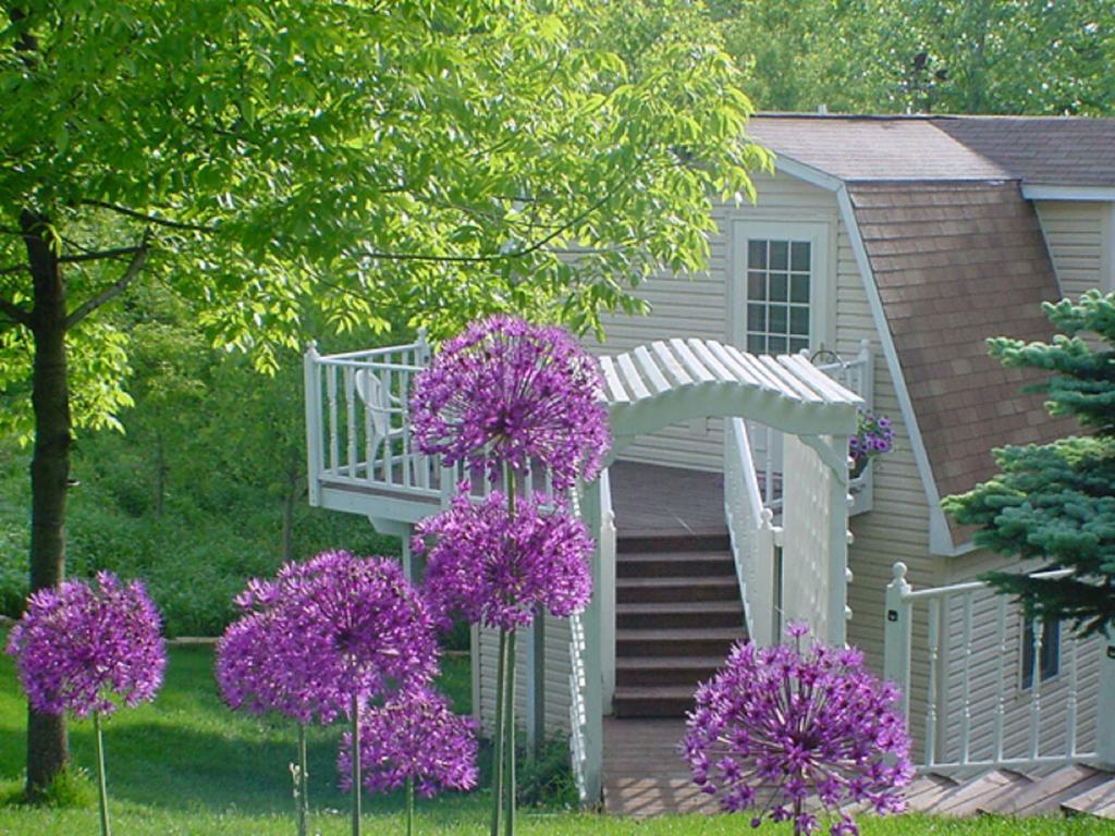 Marquette Trickling Waters Retreat 빌라 외부 사진